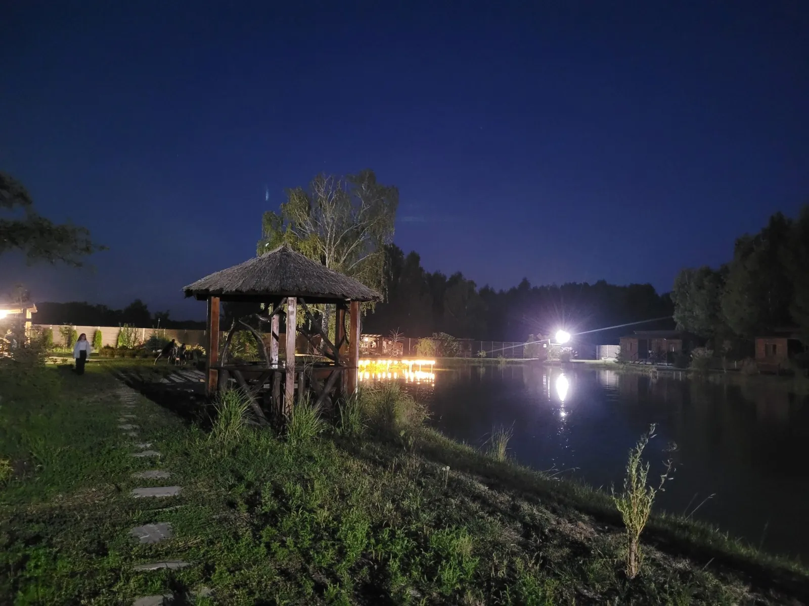 Новий рік на природі: як зустріти зимове свято в лісі